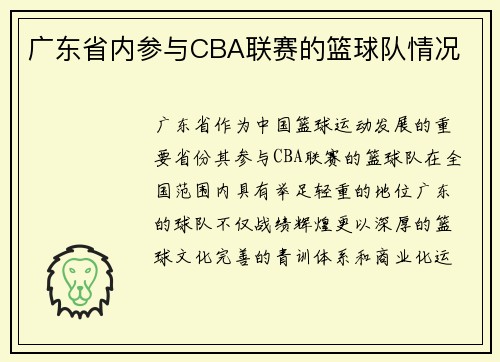 广东省内参与CBA联赛的篮球队情况
